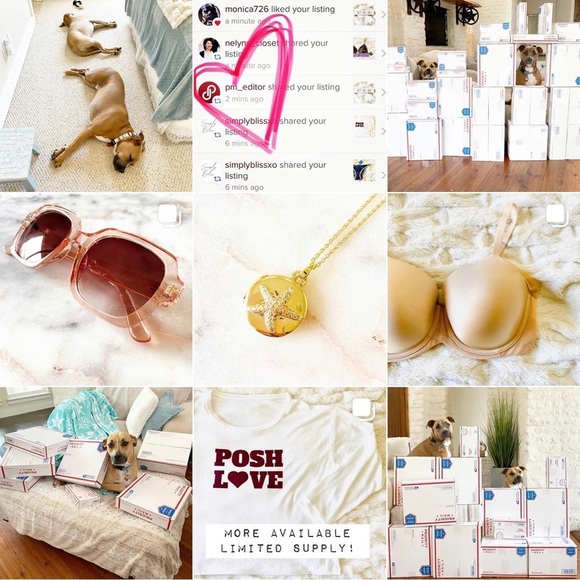 FOLLOW MY CUTE PAWSH ASSISTANTS! πΆπΆπππ - Picture 5 of 16